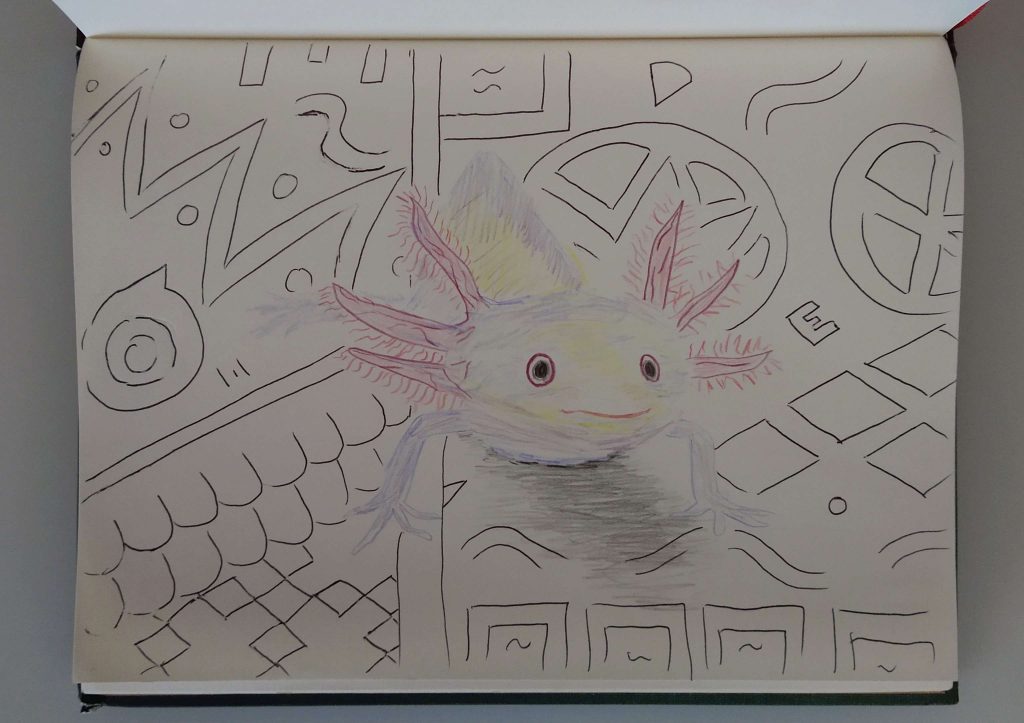 Ein Axolotl mit Augen in Farben der Ace-Flagge sitzt in der Mitte des Bildes. Der Hintergrund besteht aus willkürlichen Mustern, die mit dem Kugelschreiber gemalt wurden und nicht zum weichen Buntstiftstil des Axolotls passen.